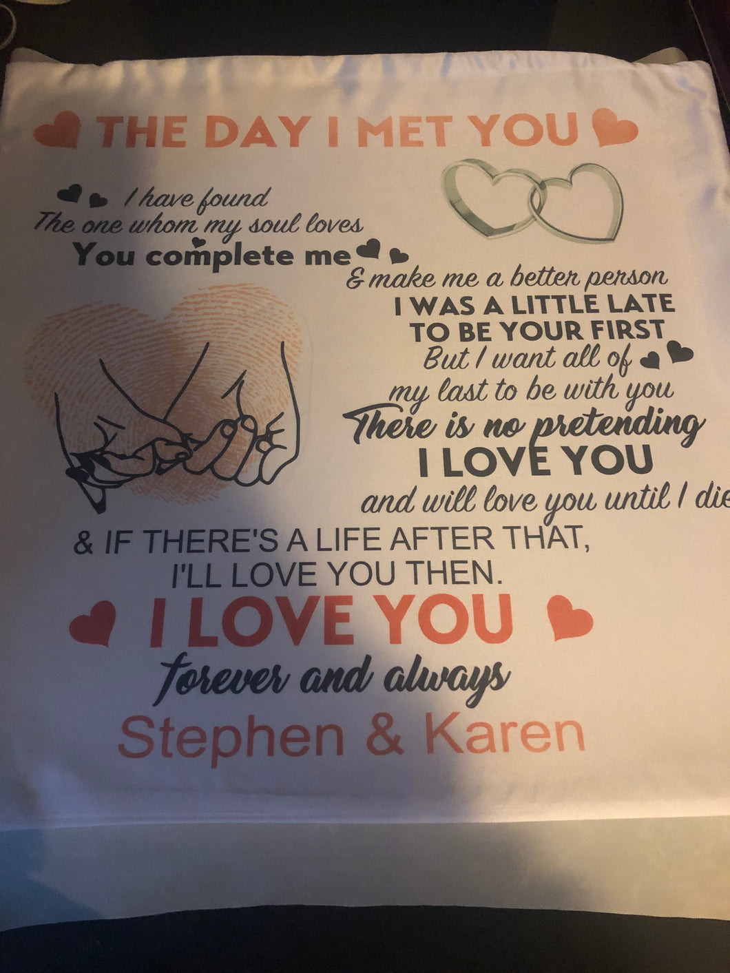 The Day I Met You Pillow Case Cover (Just Cover)